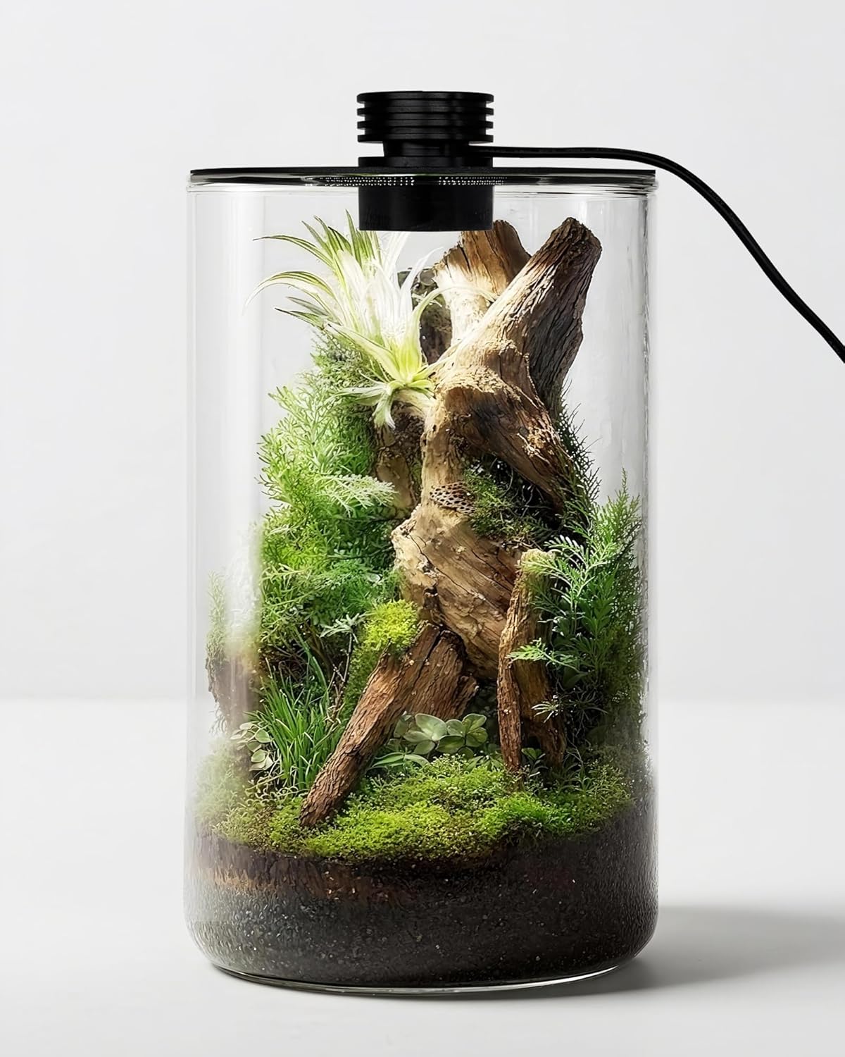 Home Office With Plants - Indoor Glass Terrarium with Grow Light,