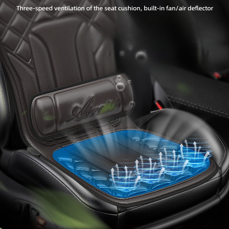 Multi-Function Car Massage Cus - Mesh Back Cushion recension och pris