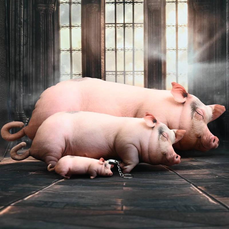 Kawaii Realistic Sleeping Pig  - Home Office With Sofa recension och pris
