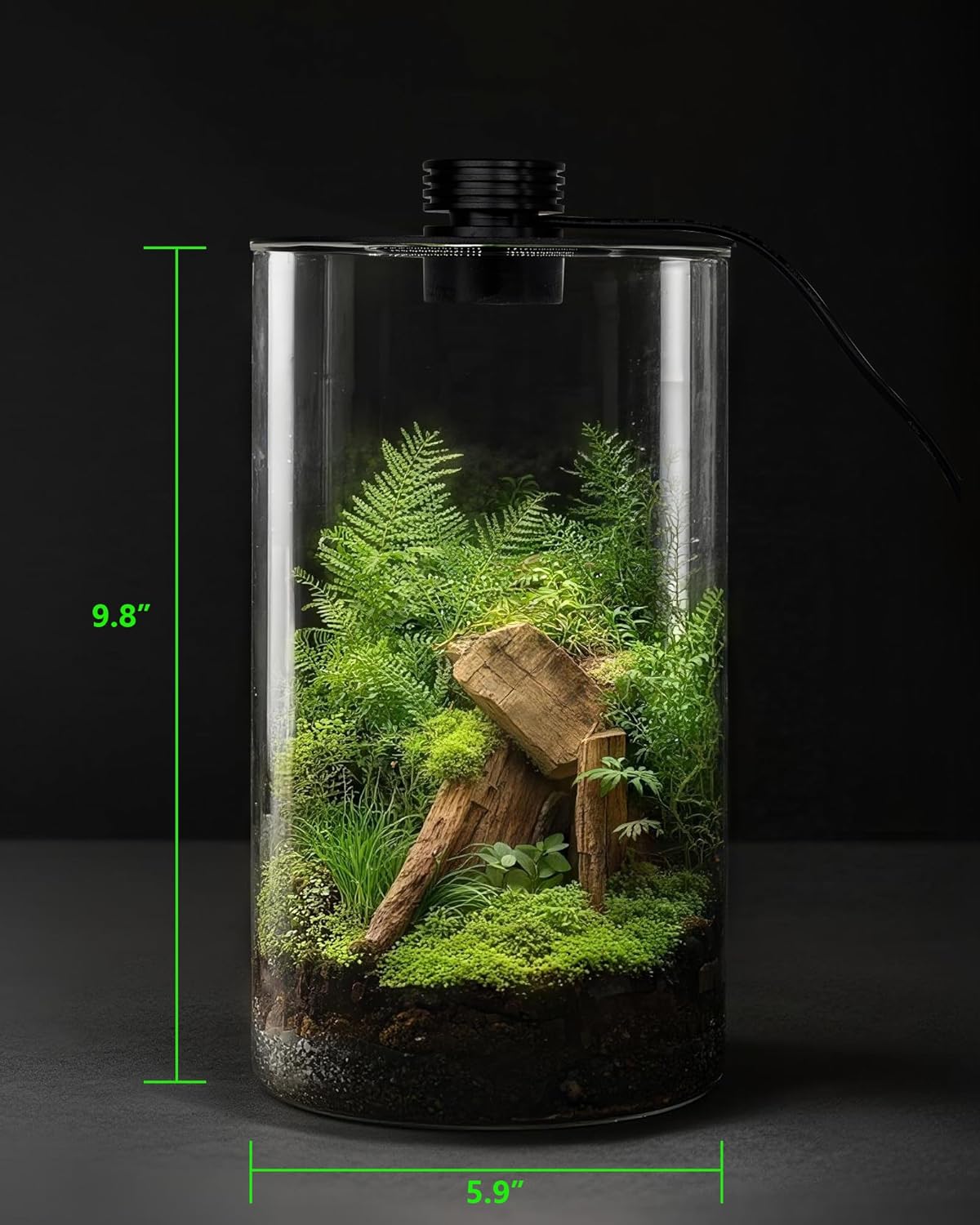 Indoor Glass Terrarium with Gr - Home Office With Plants recension och pris