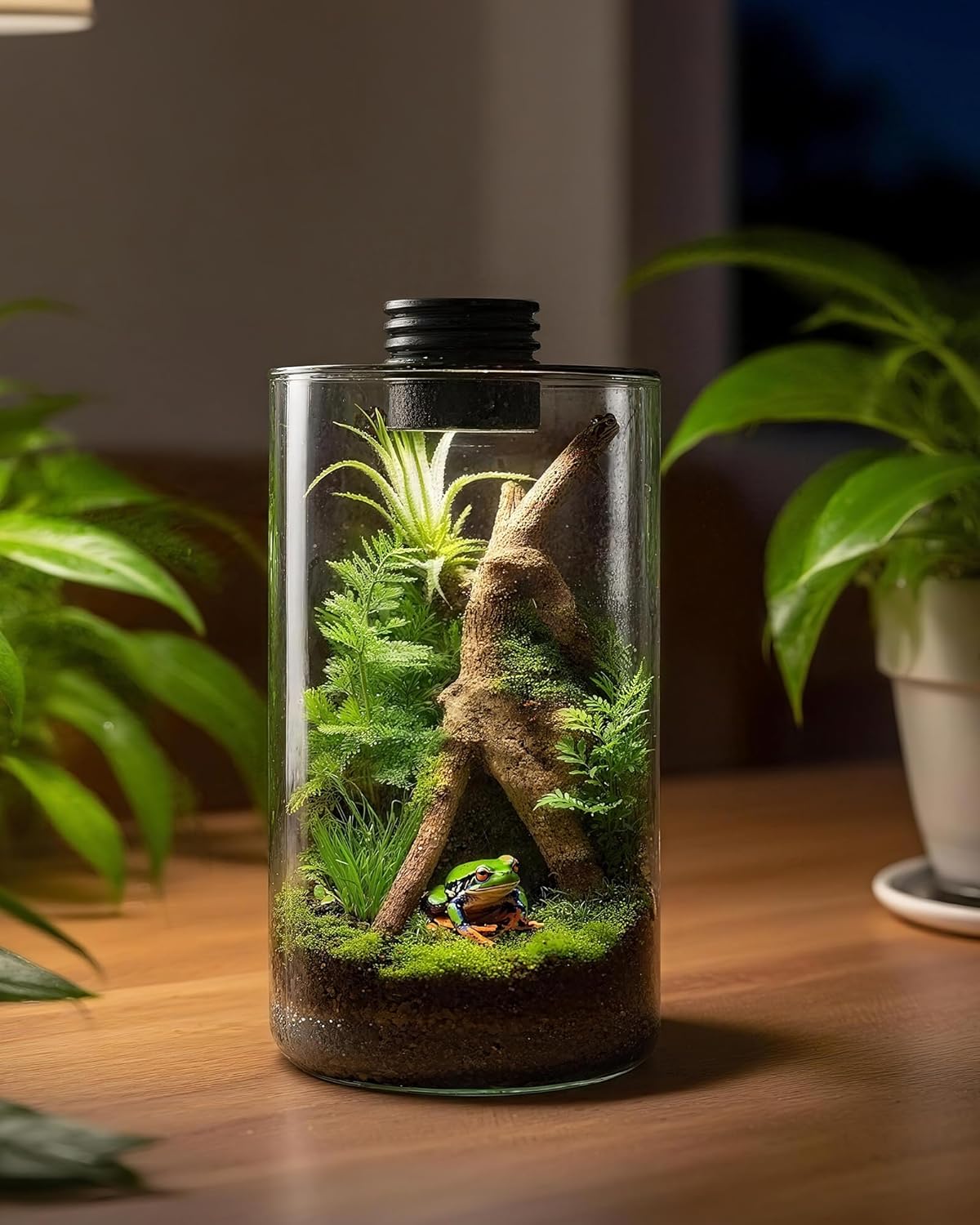 Indoor Glass Terrarium with Gr - Home Office With Plants recension och pris