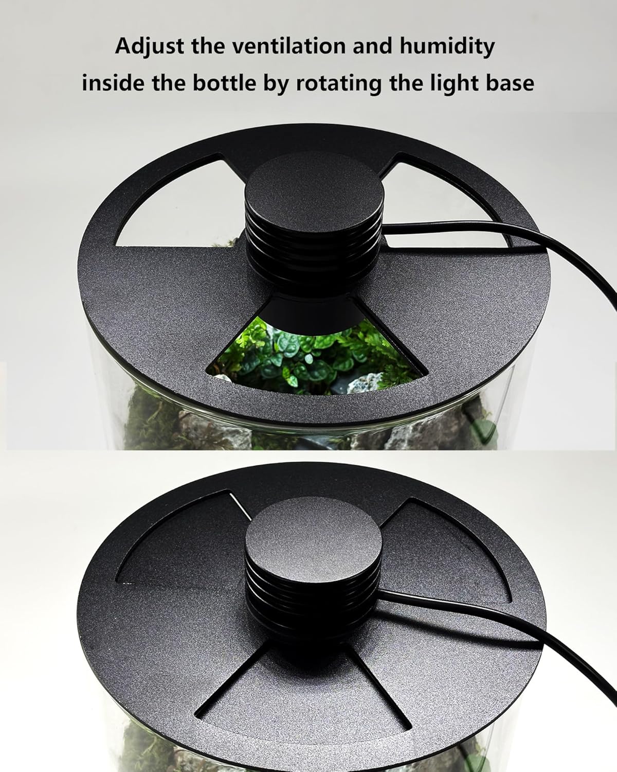 Indoor Glass Terrarium with Gr - Home Office With Plants recension och pris